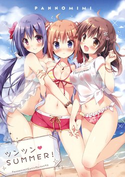 [Pannomimi (Pan)] Tsuntsun SUMMER! [2016-08-16]