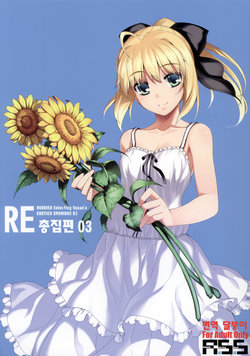 (C88) [RUBBISH Selecting Squad (Namonashi)] RE Soushuuhen 03 | RE 총집편 03 (Fate/stay night) [Korean] [달붕이] [Incomplete]