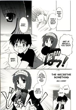 [Arai Cherry] A Secretive Something (Tsukihime) [English]