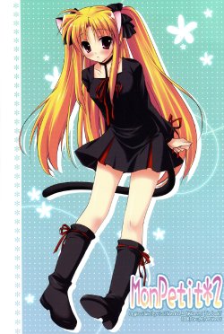 (C75) [Parufe (Hayashi Sakura)] MonPetit*2 (Mahou Shoujo Lyrical Nanoha)