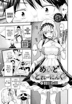 [Wabara Hiro] Maid Training (COMIC BAVEL 2023-09) [Korean] [팀 털난보리] [Digital]