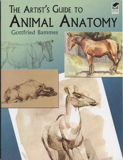 Gottfried Bammes - Animal Anatomy for Artists