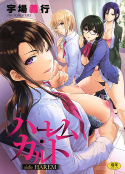 [Uba Yoshiyuki] Harem Cult side HAREM + Toranoana Kounyu Tokuten 4P Leaflet