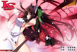 (SC50) [RYU-SEKI-DO (Nagare Hyo-go)] LS Lovers Striker (IS <Infinite Stratos>) [Korean] [Team Arcana]