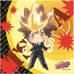 Collection Katekyo Hitman Reborn !!! [02]