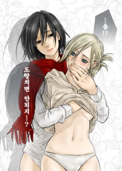 [kuzuya] Mikasa x Annie Doujinshi (Shingeki no Kyojin)