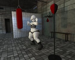 Rejected Workout Renders