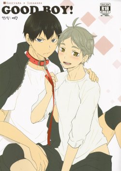 (C87) [Kakusei Desire (Kurot)] Good Boy! (Haikyuu!!) [Korean]