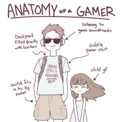 [Varius Artist] - Anatomy of a Gamer Meme