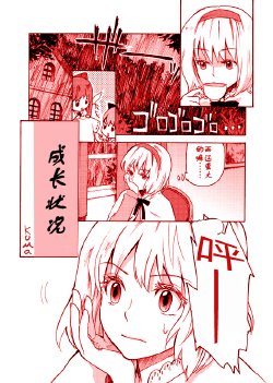 成長狀況 (Touhou Project) (chinese)