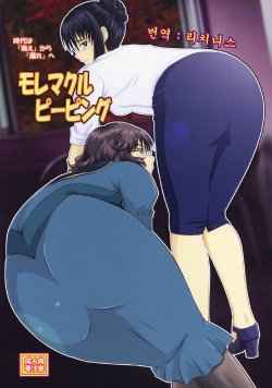 (C73) [Nozarashi (Nozarashi Satoru)] Moremakuru Peeping (Gundam 00) [Korean]