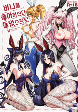 (C100) [Yohsyuan (Son Yohsyu)] Bunny ga Osuki to Kikimashite - We heard you like bunny girls. | 바니를 좋아하신다 들었으므로 (Fate/Grand Order) [Korean]