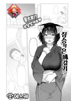 [Esuke] Kemono no Ongaeshi (?) | 짐승의 은혜갚기(?) (COMIC Kairakuten 2024-08) [Korean] [Team Edge] [Digital]