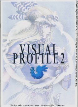 VISUAL PROFILE 2