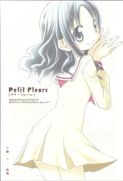 (COMIC1☆4) [apricot+ (Aoki Ume)] Petit Fleurs (Heartcatch Precure)