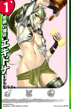 Queen's Blade The Colosseum Cards