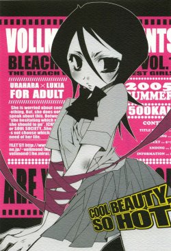 (C68) [VOLLMOND (Ruri)] COOL BEAUTY,SO HOT (Bleach)