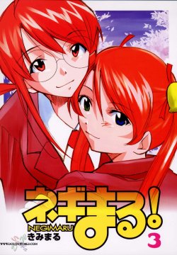 (CR37) [Studio Kimigabuchi (Kimimaru)] Negimaru! 3 (Mahou Sensei Negima!) [English] [SaHa]