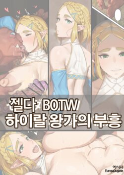 [Kunaboto] Hyrule Ouke no Fukkou (The Legend of Zelda: Breath of the Wild) [Korean]