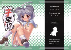 (CCFukuoka22) [CUNICULUS (Yositama)] Ko, kodakara!? ~Nazrin wa Ore no Yome~ (Touhou Project)