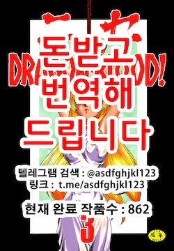 (C53) [LTM. (Taira Hajime)] NISE Dragon Blood! 3 [Korean]