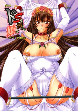 (C78) [Nozarashi (Nozarashi Satoru)] Do-S na Hime wa Kegasareru Haji no Nana - Ryoujoku Hirouen