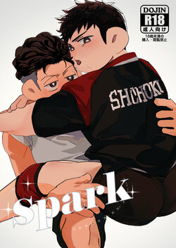 [xiaozheng] Spark (Slam Dunk) [English] [Digital]