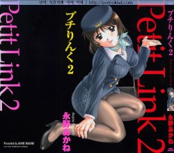 [Nagano Akane] Petit Link 2 [Korean]