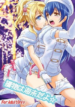 (C85) [Stratosphere (Urutsu)] Emono wa Umi Dayo (Love Live!) [Chinese] [LoveEcho汉化组·里]