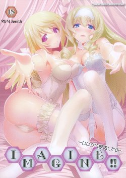 (COMIC1☆8) [Bloody Okojo (Mojyako, Caviar)] IMAGINE!! ~Iikara Souzou Shite!!~ (IS <Infinite Stratos>) [Korean] [Liberty Library]