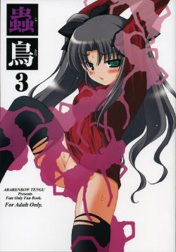 (Comic Castle 2006) [Abarenbow Tengu (Izumi Yuujiro)] Kotori 3 (Fate/stay night) [English] [SaHa]