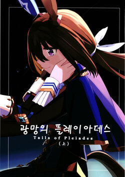 (C102) [Toumei-Iro (Kalkan)] Tails of Pleiades vol.1 | 광망의 플레이아데스(상) (Uma Musume Pretty Derby) [Korean]