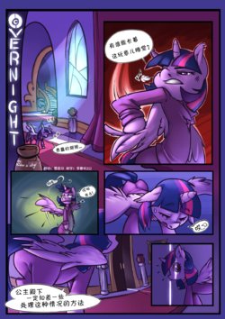 [Atryl] Overnight (My Little Pony Friendship Is Magic) [Chinese] [星翼汉化组]