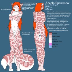 Accelo Snowmew The Snow Leopard