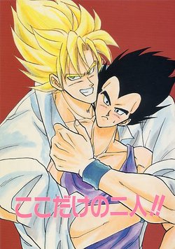 [Majunia Akanatto (Mikimoto Majomi)] Koko Dake No Futari!! (Dragonball Z)