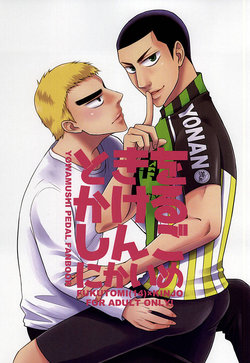 (Zenkai Cadence 6) [Ikuragohan (coco)] Toki o Kakeru Shingo Nikaime (Yowamushi Pedal)