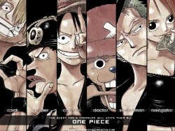 One Piece Gallery