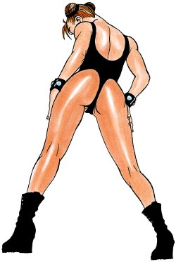 My Chun-Li oficial art collection