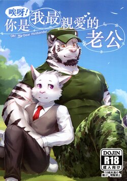 [Taki Kaze] Oh! My Dear Husbando! [Chinese]