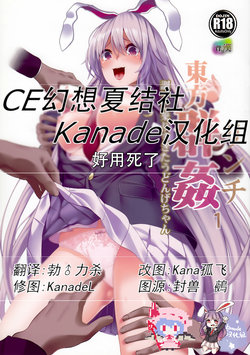 (Reitaisai 14) [Haitokukan] Touhou Lynch 1 Choushi ni Norisugita Udonge-chan (Touhou Project) [Chinese] [CE幻想夏结社xKanade汉化组]