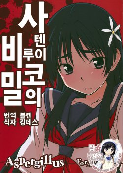 (C78) [Aspergillus (Okara)] Saten Ruiko no Kakushigoto | 사텐 루이코의 비밀 (Toaru Kagaku no Railgun) [Korean] [팀☆면갤]