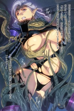 [FOOL´s ART GALLERY (Homare)] Shokushu Sai!