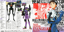 NEON GENESIS EVANGELION LD cover art collection (Complete)