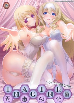 (COMIC1☆8) [Bloody Okojo (Mojyako, Caviar)] IMAGINE!! ~Iikara Souzou Shite!!~ (IS <Infinite Stratos>) [Chinese] [无毒汉化组]