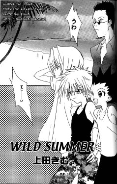 Wild Summer (Hunter x Hunter) [English]