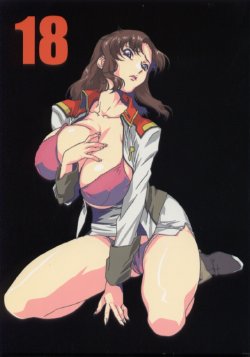 (C64) [studio C-TAKE (Miura Takehiro)] GUNYOU MIKAN vol.18 (Mobile Suit Gundam SEED)