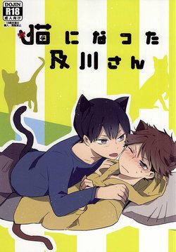 (RTS!!5) [Shounen-H (Yuuki)] Neko ni Natta Oikawa-san (Haikyuu!!)