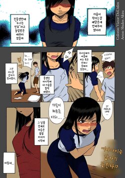 [Shiden Akira] Hinnyuu Kyonyuu History | 빈유 거유 히스토리 (COMIC Megastore 2008-03) [Korean] [Colorized]