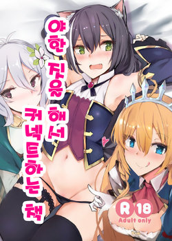 (COMIC1☆15) [Muoto Lab (Muoto)] Ecchi na Koto Shite Connect Suru Hon | 야한 짓을 해서 커넥트하는 책 (Princess Connect! Re:Dive) [Korean]