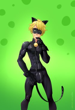 [Yoshka] Chat Noir Reward (Miraculous Ladybug)